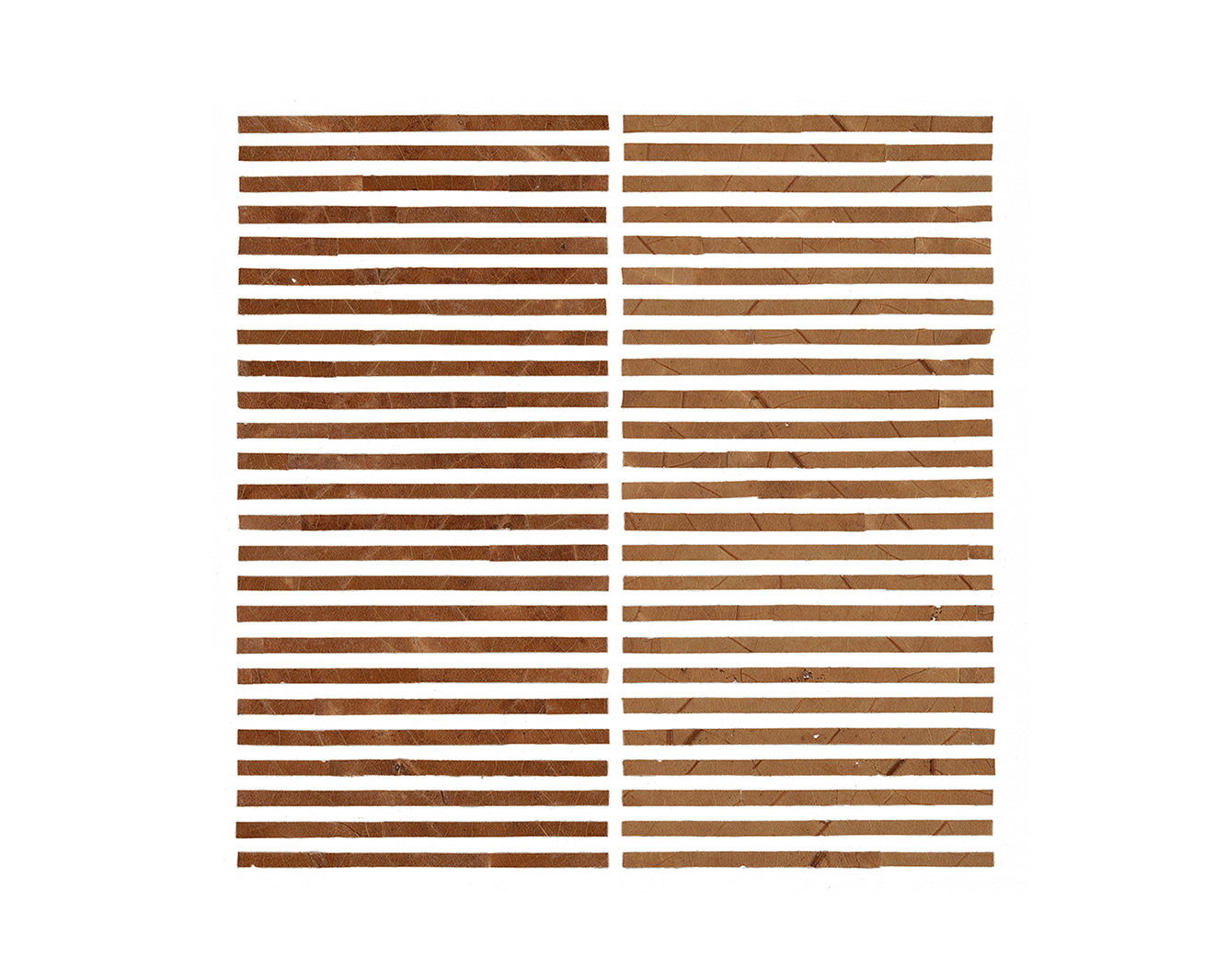 Sliced Leaves, Fronts and Backs